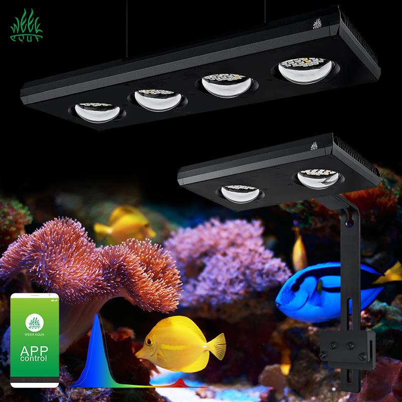 Aquarium Blue Marine - ZXY Лидер продаж WEEKAQUA Z250 Z400sea