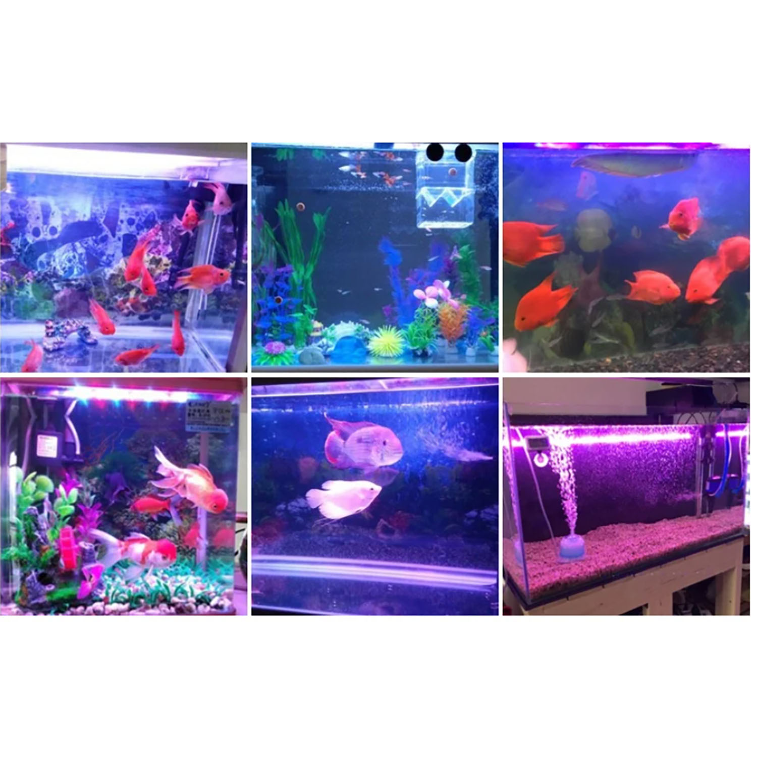 Aquarium Blue Marine - Светодиодное освещение для аквариумов 50W 60W