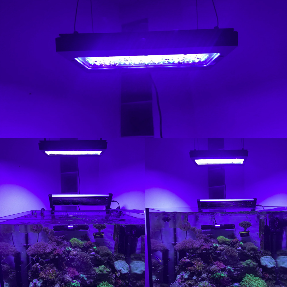 A8se Pro II MAX Blue 240W Свет – обзор и цена Aquarium Blue Marine