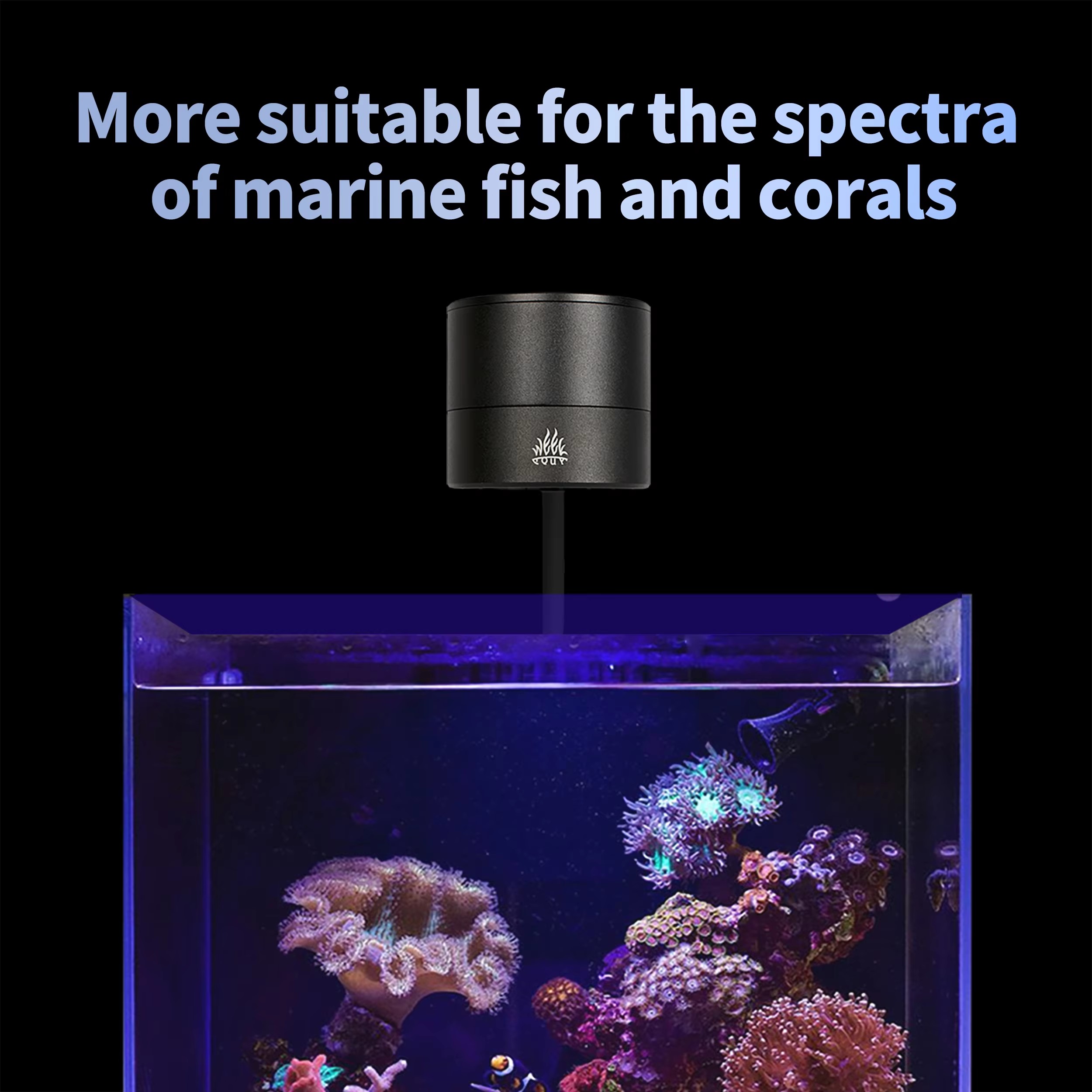 Светильник WEEK AQUA для аквар – обзор и цена Aquarium Blue Marine