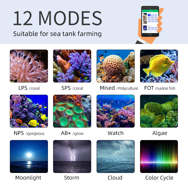 ZXY Лидер продаж WEEKAQUA Z250 – обзор и цена Aquarium Blue Marine