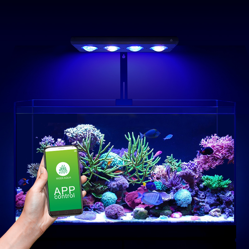 ZXY Лидер продаж WEEKAQUA Z250 – обзор и цена Aquarium Blue Marine